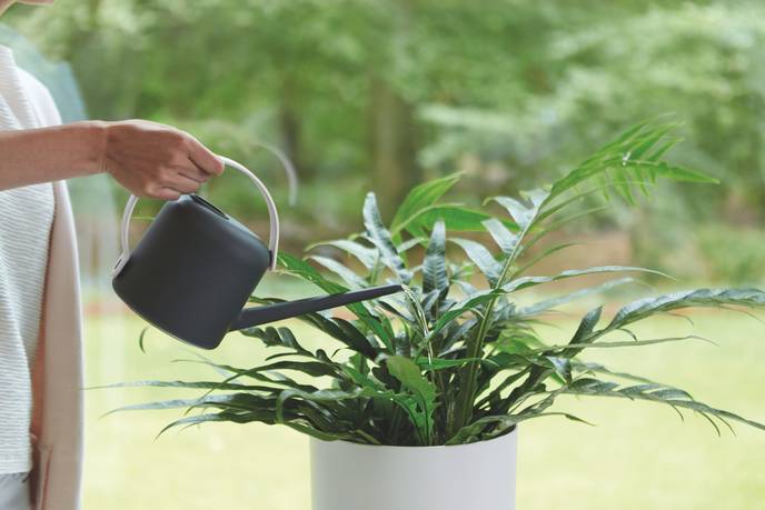 b.for soft watering can 1,7ltr anthracite